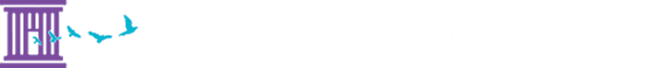 Camille Borg Law PLLC