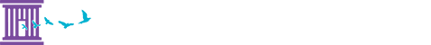 Camille Borg Law PLLC