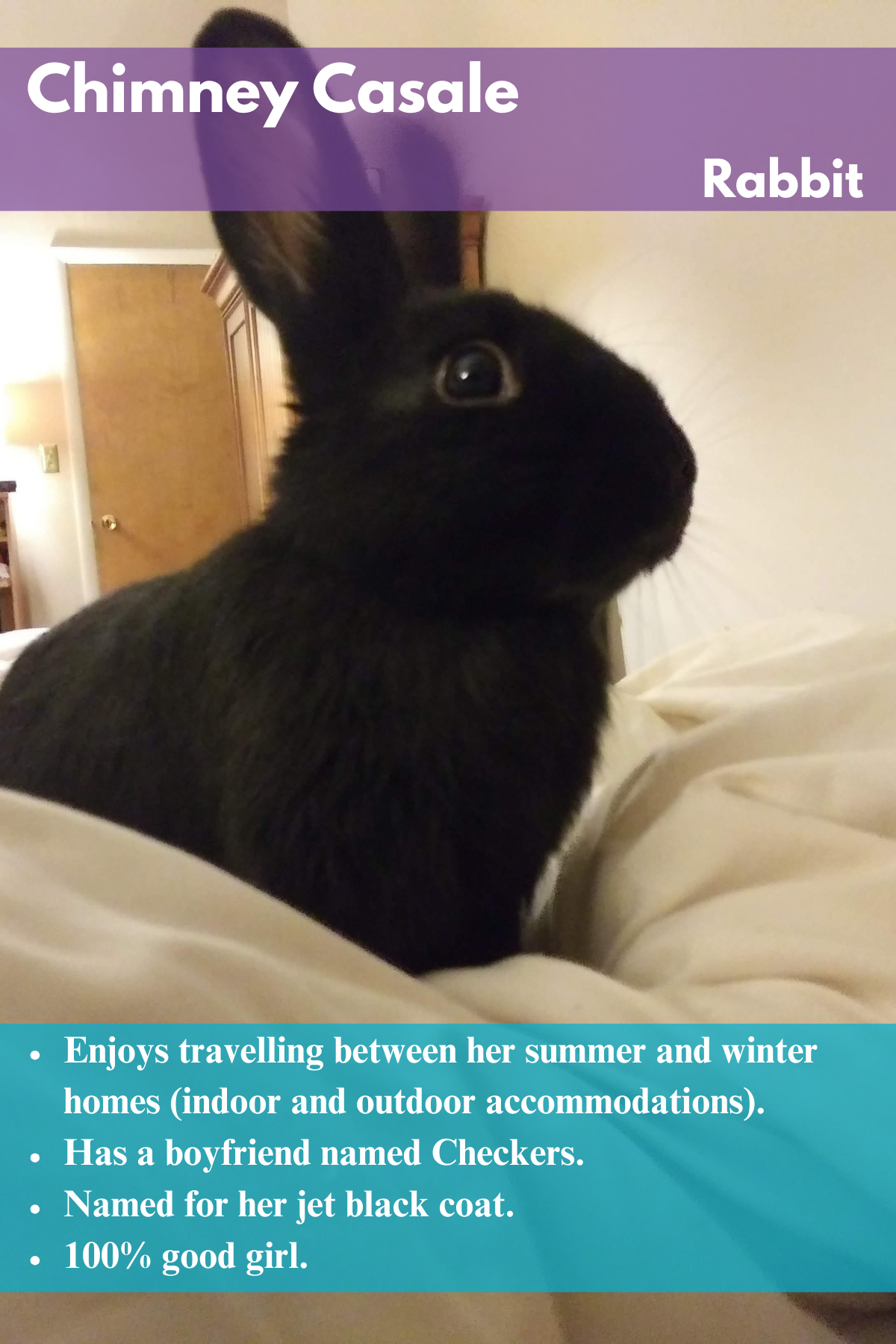 Chimney  Casale Photo