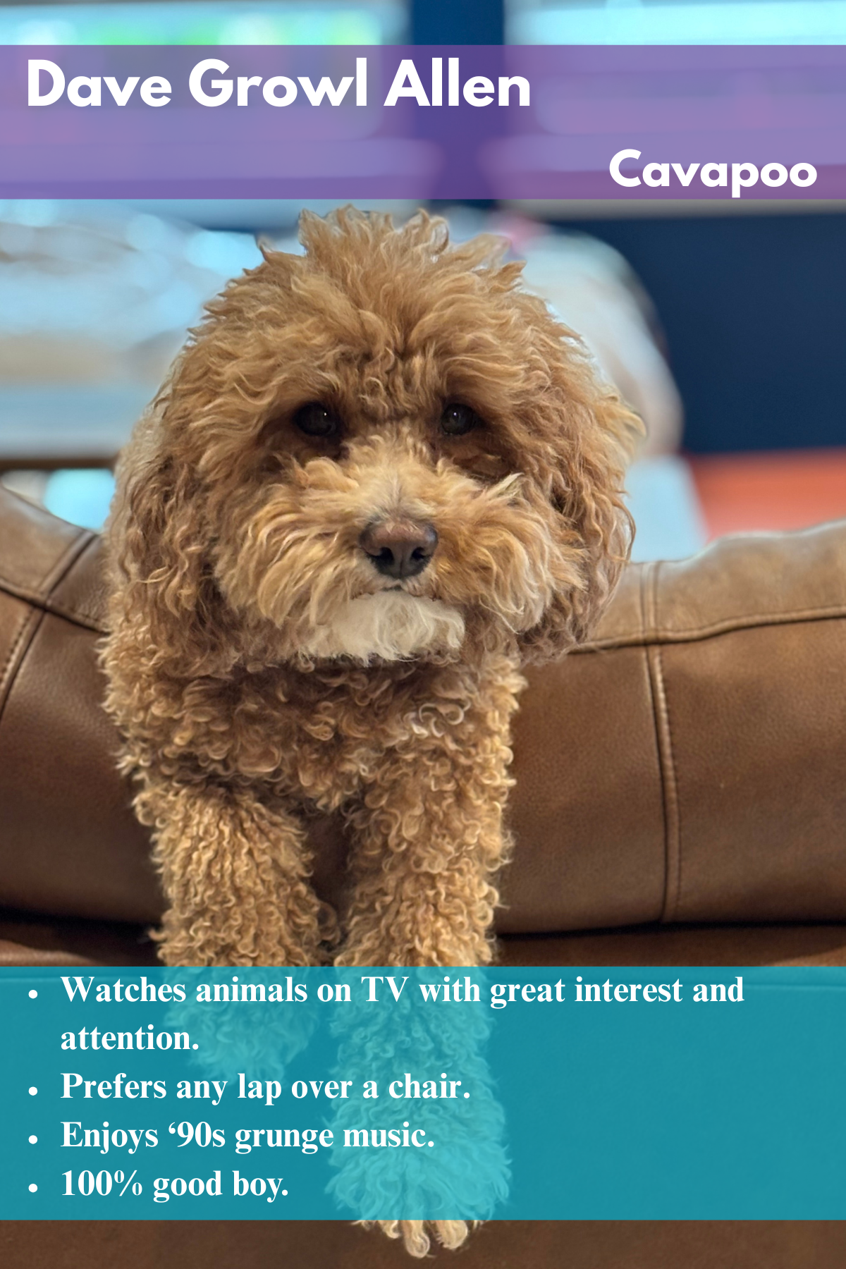 Dave  Growl Allen Photo