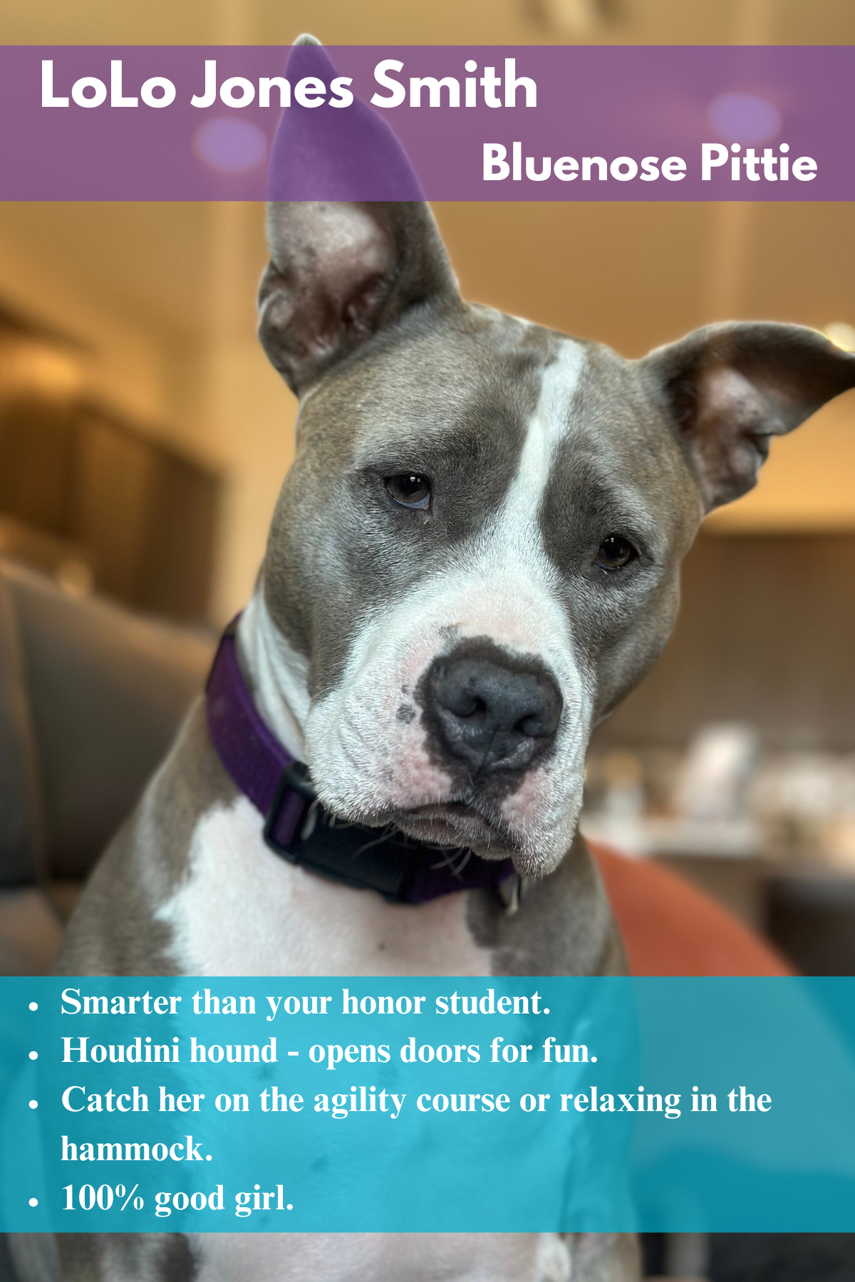 LoLo  Jones Smith Photo