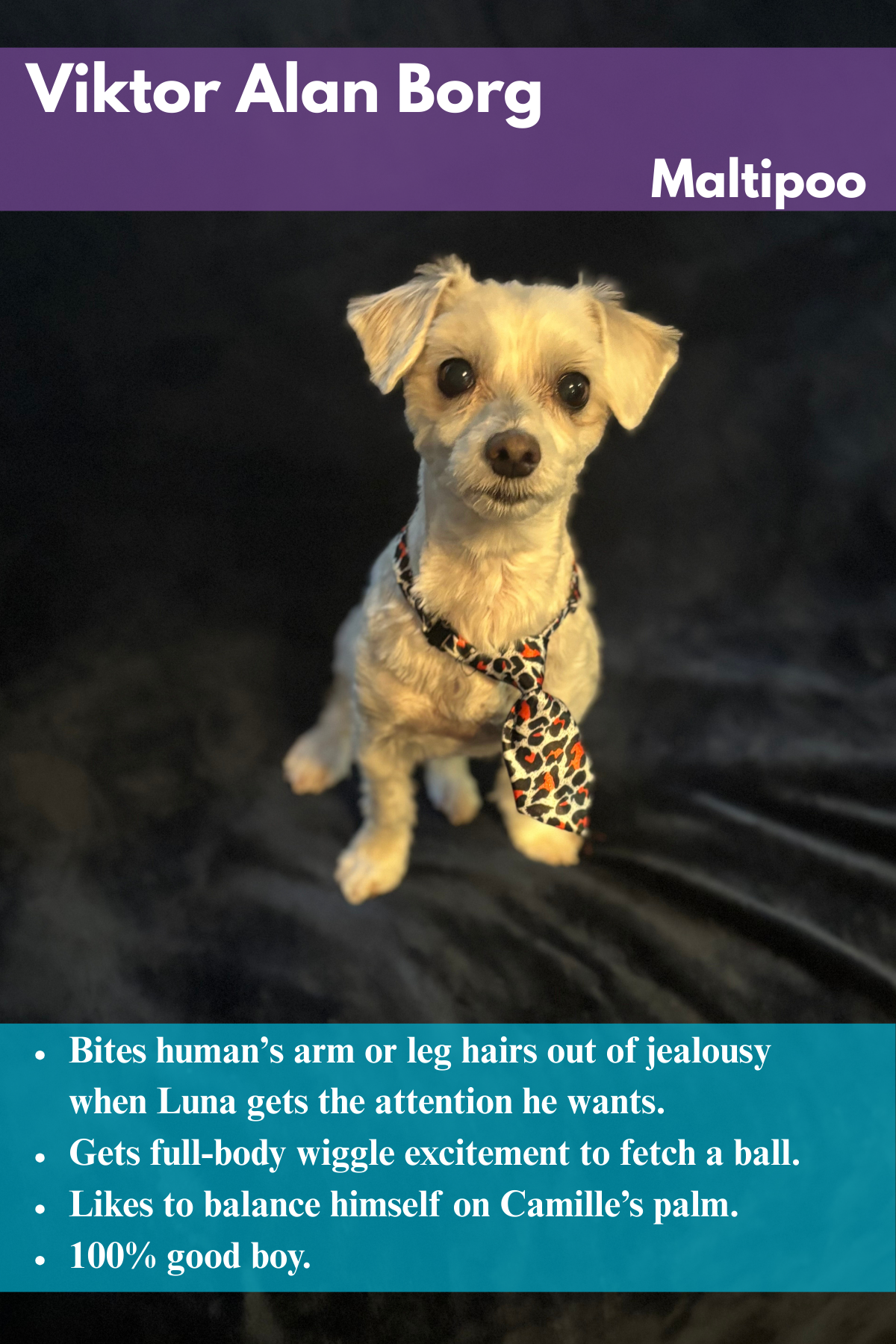 Viktor  Alan Borg Photo